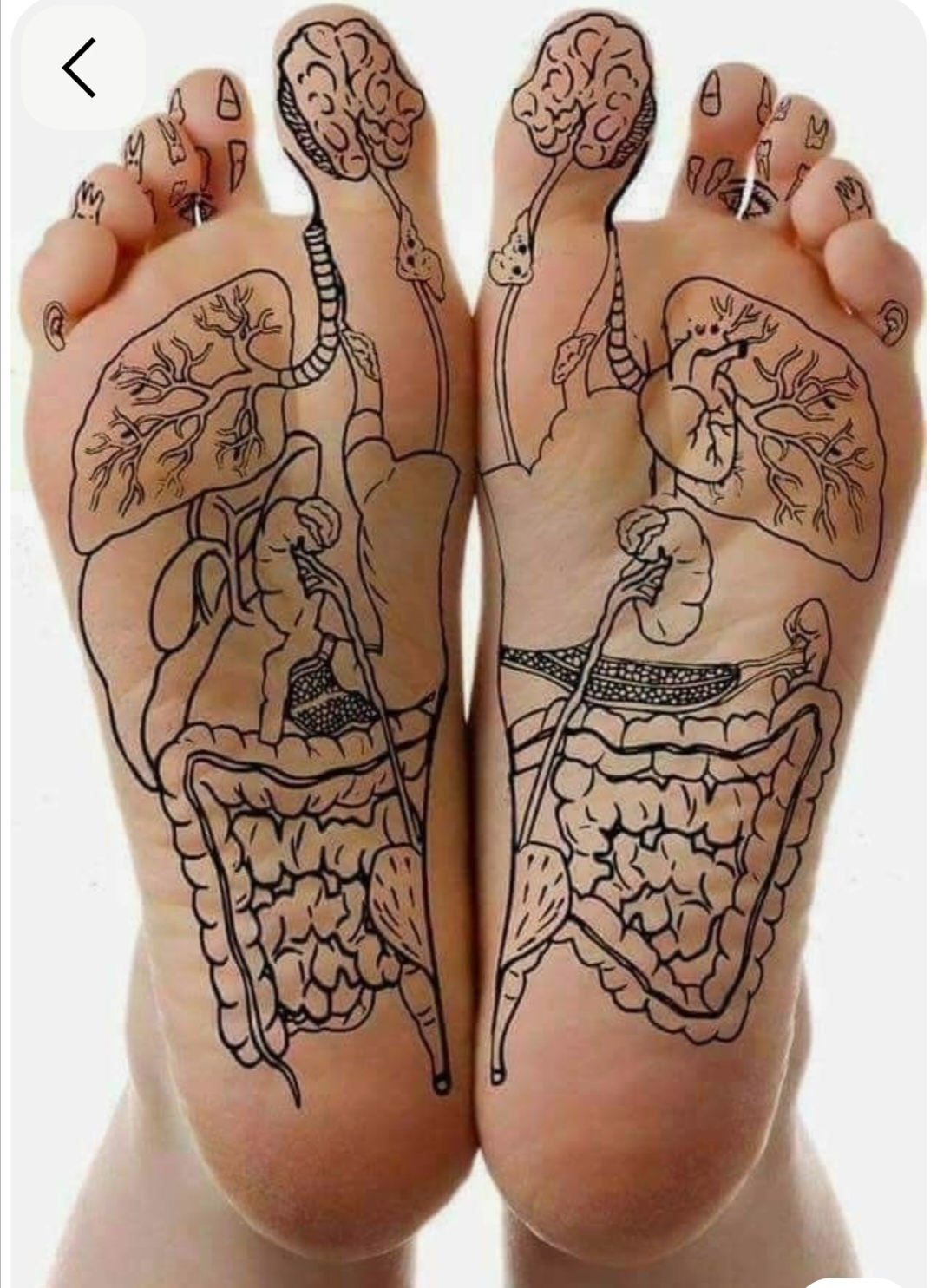 Méregtelenítő talpmasszázs